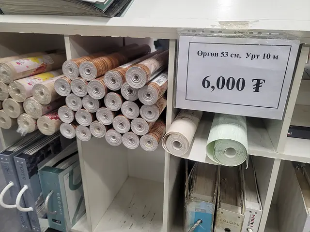 oboi.mn — Хямдралын ороомгууд